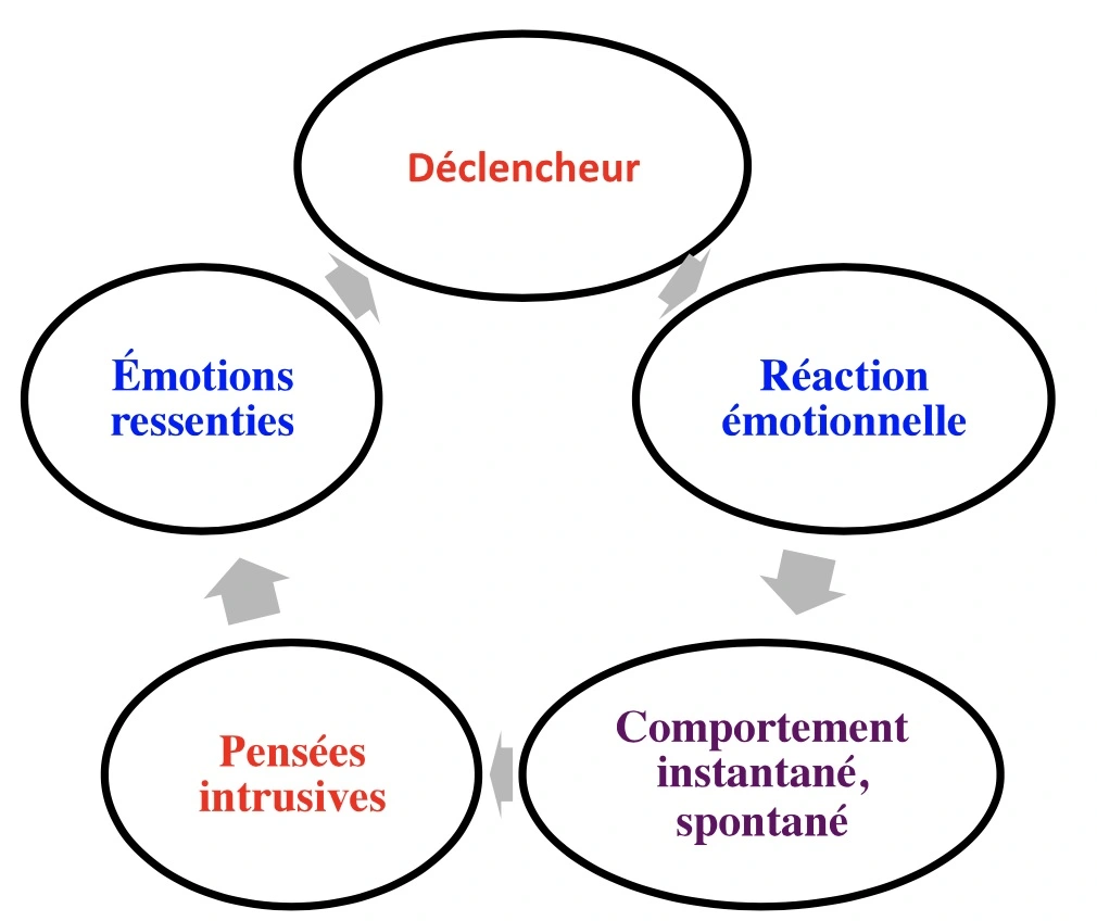 Le cycle déclencheur de réaction émotionnelle des comportements instantanée et spontané, les pensées intrusive et les émotions ressenties